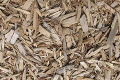 biomass boilers Burgate